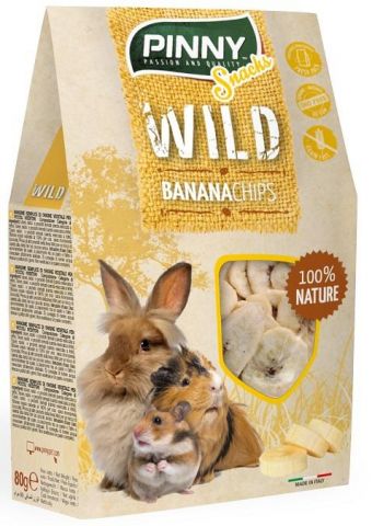 Wild Snack platanos deshidratados 90gr