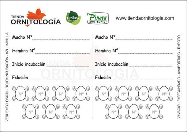 FICHA ORNITOLOGICA 4 NIDADAS