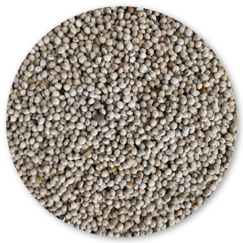 PERILLA BLANCA SACO 20KG BIRD