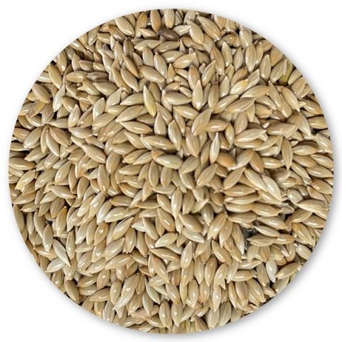 PLUMALIS ALPISTE CANADA PREMIUN 1KG (REENVASADO)