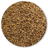 PLUMALIS PANIZO EN ESPIGA 250GR