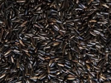 PLUMALIS NEGRILLO SELECCION 4kg/REENV  alta germi