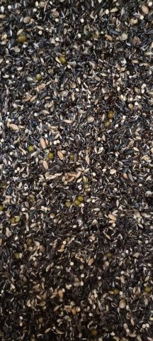 PLUMALIS MIXTURA CANARIOS  ALTA GREMINACION 20KG