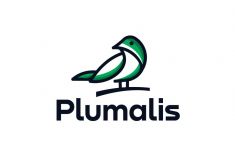 PLUMALIS MIXTURA CANARIOS  ALTA GREMINACION 20KG
