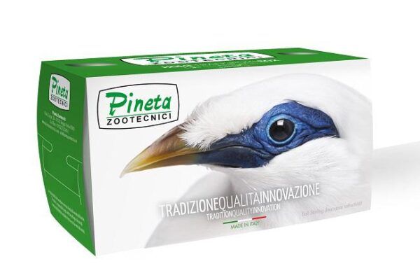 Transportin de Carton Pineta