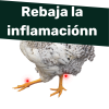 AVINATURA PIRETRIX (fiebre,dolor,inflamación)250ml