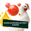 AVINATURA PUESTA (Suplemento para la puesta) 250ml