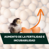 AVINATURA PUESTA (Suplemento para la puesta) 250ml