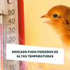 AVINATURA RESPI (problemas respiratorios) 250ml