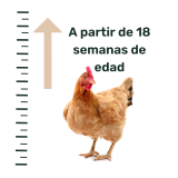 AVINATURA COMPLET (gallinas ponedoras) 20Kg