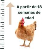 AVINATURA MIX. (Mezcla de cereales para aves) 20kg