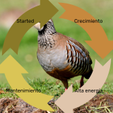AVINATURA PERDIZ ALTA ENERGIA 5 KG.