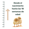 AVINATURA STARTED (Pienso de inicio para aves) 20k