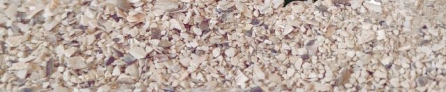 GRIT PALOMAS AVINATURA20KG