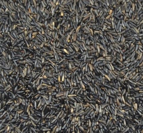 VANROBAEYS NEGRILLO ALTA GERMINACION 1KG reenvasad