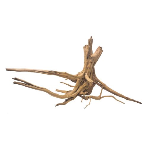 Raíce naturale SinKing 25-35 cm