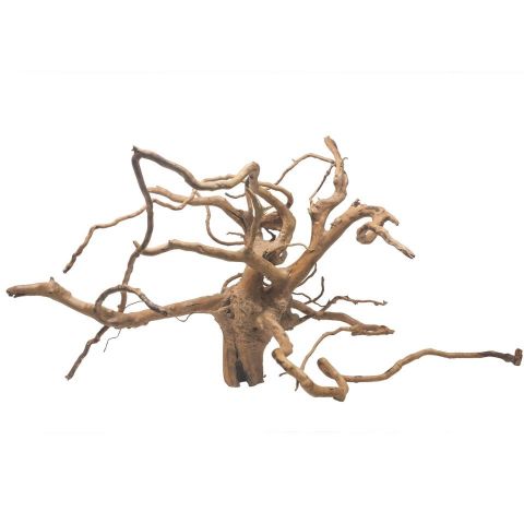 RAIZ  Cuckoo 25-35 cm