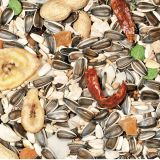 CANTO ALEGRE MIXTURA LOROS CON FRUTA 3Kg