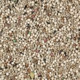CANTO ALEGRE MIXTURA EXOTICOS 5 KG