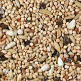 CANTO ALEGRE MIXTURA AGAPORNIS PROFESIONAL 1 KG