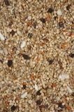 CANTO ALEGRE AGAPORNIS CLASSIC 1kg