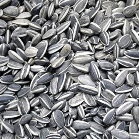 CANTO ALEGRE PIPA DE GIRASOL BLANCA 800gr