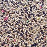 CANTO ALEGRE CANARIOS SIN AVENA 20kg