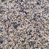 CANTO ALEGRE MIXTURA CARDENALITOS 8Kg