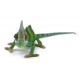 CAMALEON CALYPTRATUS 