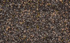 Mezcla de semillas de alta germinación CANARIZ2 3k