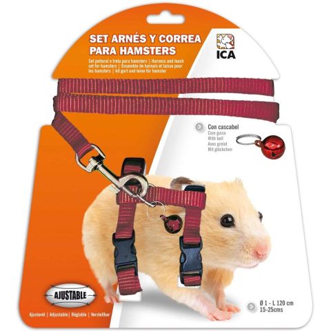 ARNES HAMSTER ROJO