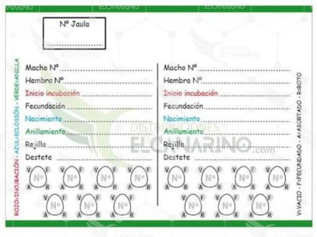 TARJETA CRIA 4 NIDADAS 10,5cm X 7CM