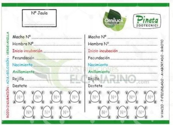 TARJETA CRIA4 NIDADAS 11,5 cm X 8,5cm