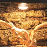 BOMBILLA HALOGENA DIURNA 75W REPTILZOO