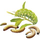 ALIMENTO RETIL HORNWORM PASTE 80g