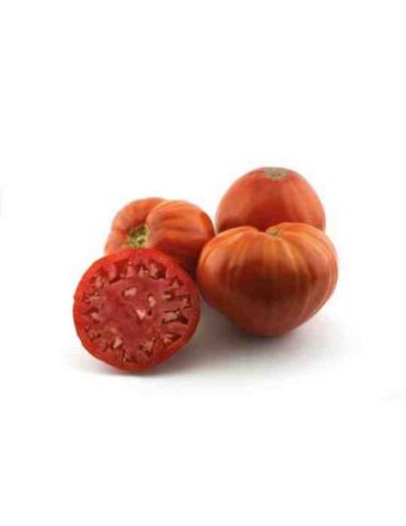 TOMATE CORAZON DE TORO PACK   6 unid ECOLOGICO.