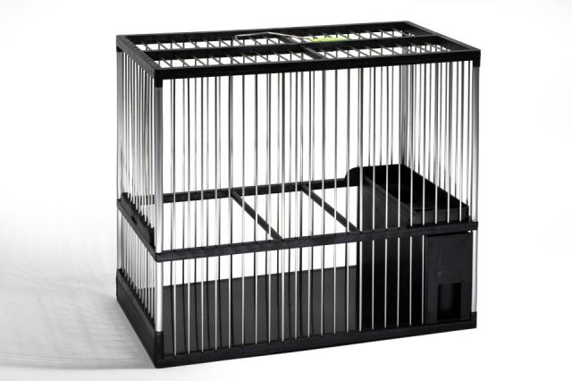 JAULA C2  ACERO INOX. NEGRA/PLATA