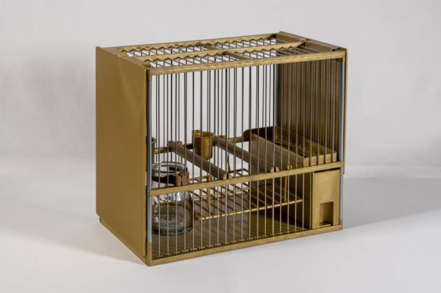 JAULA C2  ACERO INOX. ORO