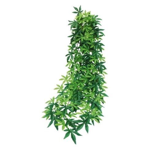 ABUTILON VERDE REPTILES 100cm