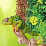 ABUTILON VERDE REPTILES 100cm