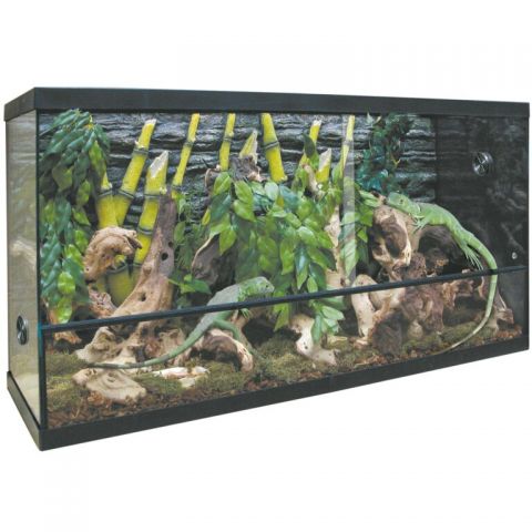Kit  terrario REPTI-SELVA CRISTAL 80X31X46 cms