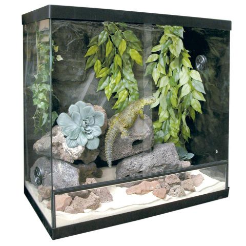 Kit  terrario REPTI-SELVA CRISTAL 50X29X51 cms
