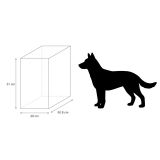 Kit  terrario REPTI-SELVA CRISTAL 50X29X51 cms