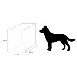 Kit  terrario REPTI-SELVA CRISTAL 60X31X46 cms