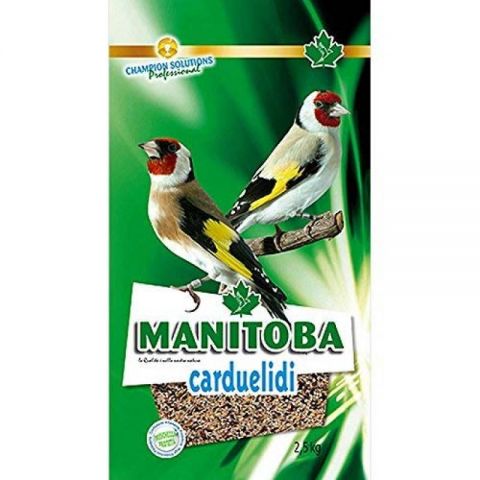 CARDELLINO MAJOR MANITOBA (Jilgueros mayor) 2.5KG