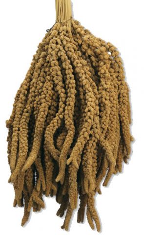  ESPIGA DE MIJO AMARILLO 500gr