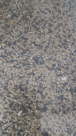 FAUNA EUROPEA B/4KG