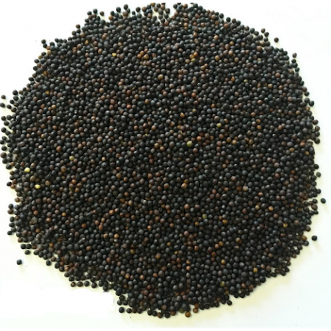 MQH NABINA NEGRA 1KG
