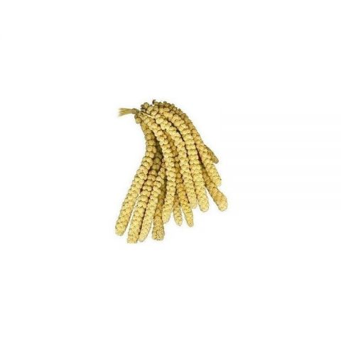 MQH PANIZO EN RAMA FRANCES AMARILLO 500gr