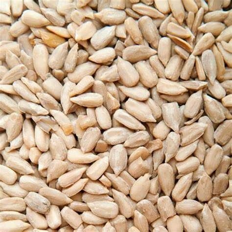 MQH PIPA PELADA 5KG